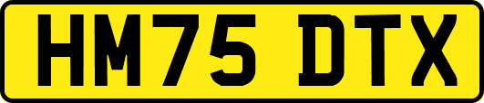 HM75DTX