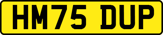 HM75DUP