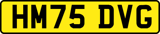 HM75DVG