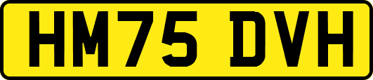 HM75DVH