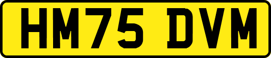 HM75DVM