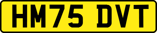 HM75DVT