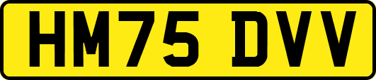 HM75DVV
