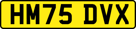 HM75DVX