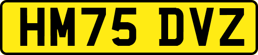 HM75DVZ