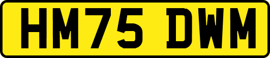 HM75DWM