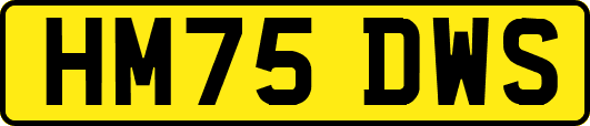 HM75DWS