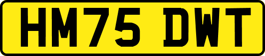HM75DWT