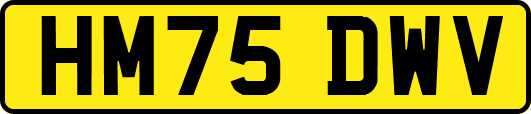 HM75DWV