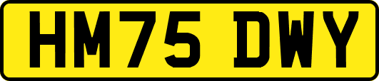 HM75DWY