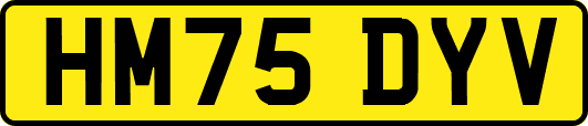 HM75DYV