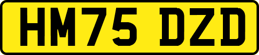 HM75DZD