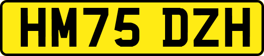 HM75DZH