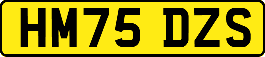HM75DZS