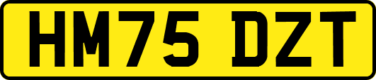 HM75DZT