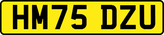 HM75DZU