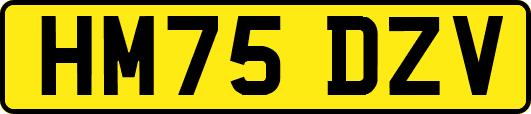 HM75DZV