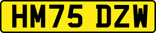 HM75DZW