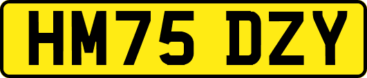 HM75DZY