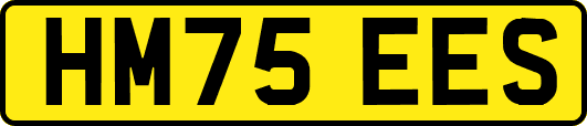 HM75EES
