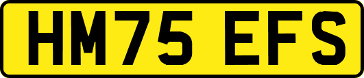 HM75EFS