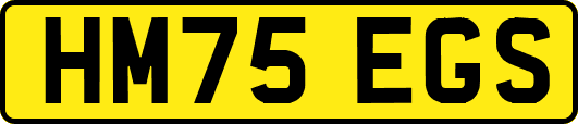 HM75EGS