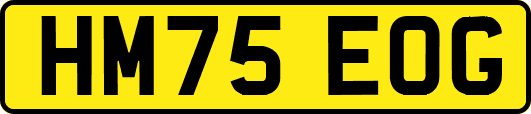 HM75EOG
