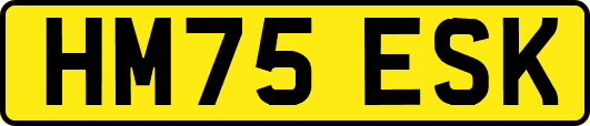 HM75ESK