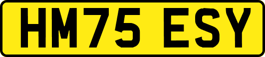HM75ESY