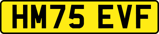 HM75EVF