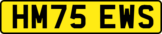 HM75EWS
