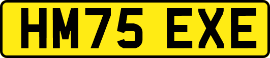 HM75EXE