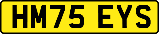 HM75EYS
