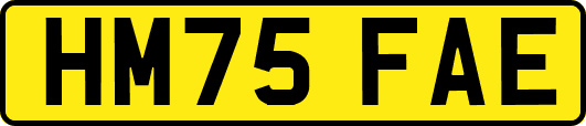 HM75FAE