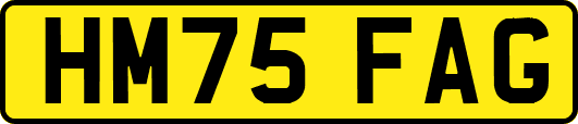 HM75FAG