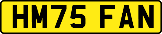 HM75FAN