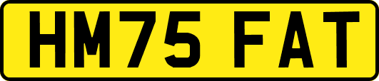 HM75FAT