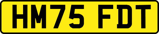 HM75FDT