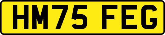 HM75FEG