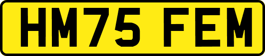 HM75FEM