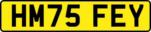 HM75FEY