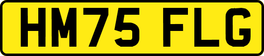 HM75FLG
