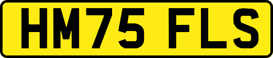 HM75FLS