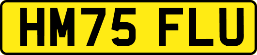 HM75FLU