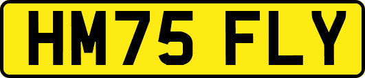 HM75FLY