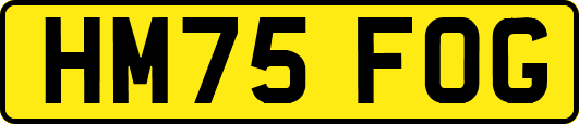 HM75FOG