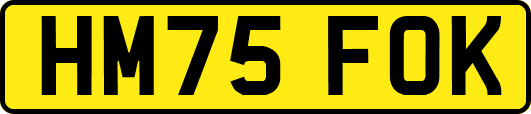 HM75FOK