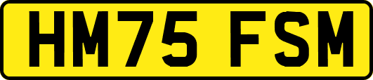 HM75FSM