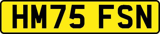 HM75FSN