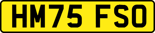 HM75FSO